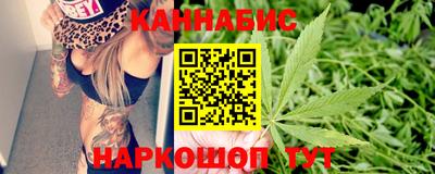 эйфоретик Малгобек