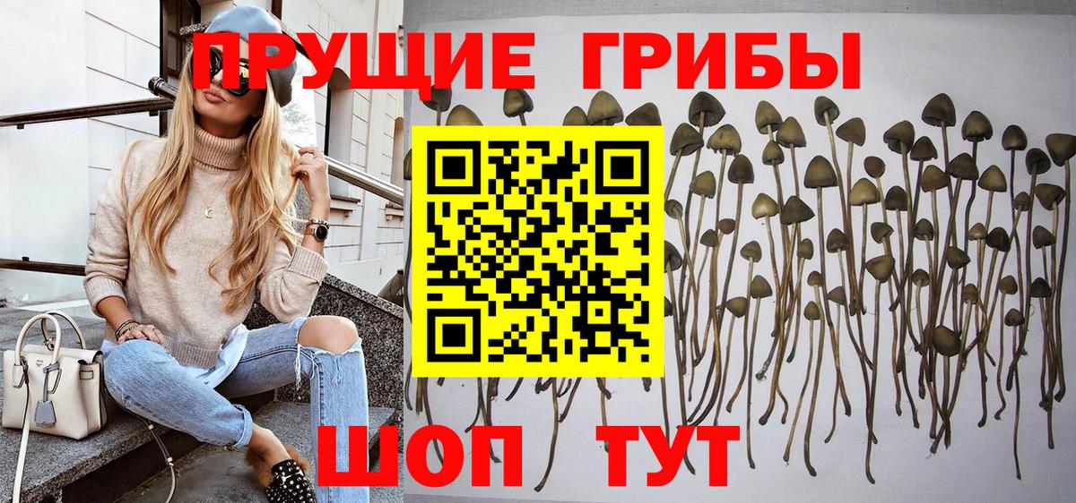 Галлюциногенные грибы мицелий Троицк