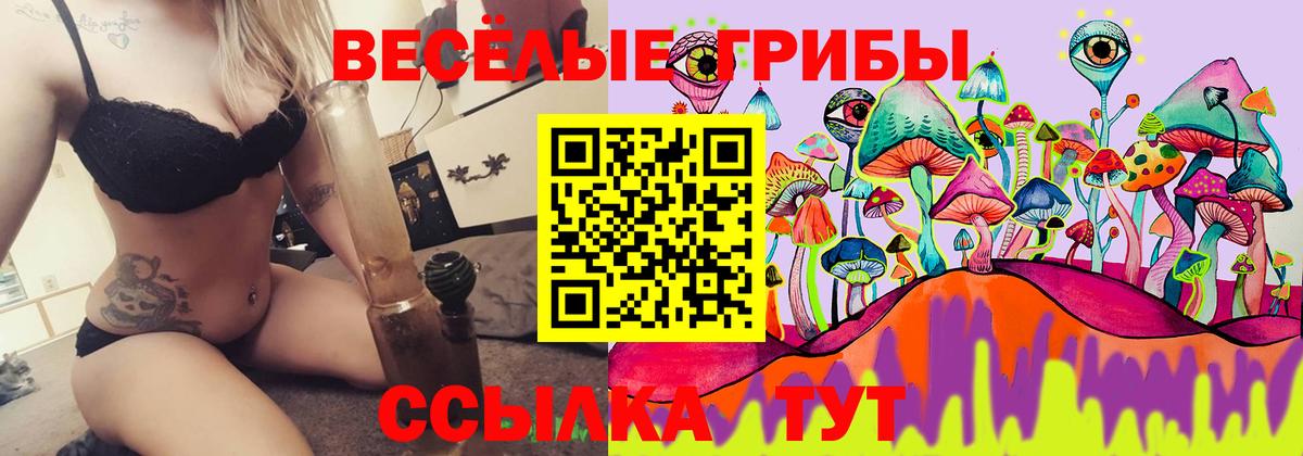 Троицк  Галлюциногенные грибы Psilocybe  Вход с VPN 